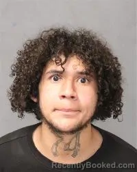 Mugshot of Dennis Pelier