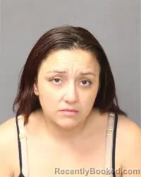 Mugshot of Ilarose Sanchez-Dominguez