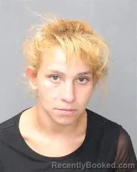Mugshot of Leeann Samantha Segura