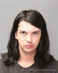 Mugshot of Luke Owen Martin