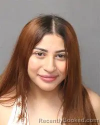 Mugshot of Allanely Judith Castrejon Aguero