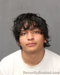 Mugshot of Dessiah Reynolds