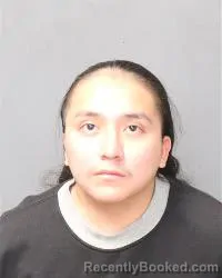 Mugshot of Landon Lee