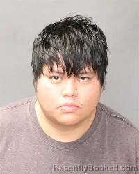 Mugshot of Dominic Skeets