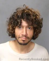 Mugshot of Richard James Morrison