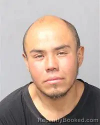 Mugshot of Permanuel B Castillo