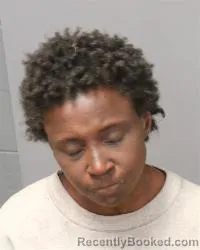 Mugshot of Krishell Nikki Jaramillo