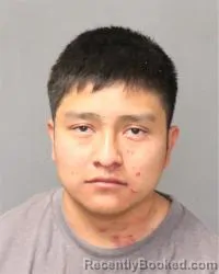 Mugshot of Nathan Domine Lonjose