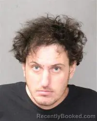 Mugshot of Brian A Holck