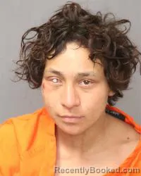Mugshot of Estrella Monique Mcdonald
