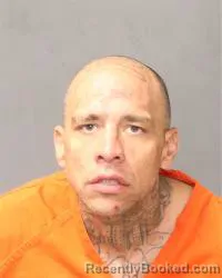 Mugshot of Tommy Joshua Hohmann