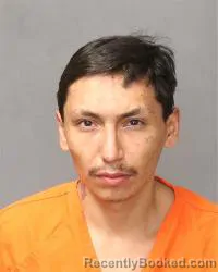 Mugshot of Travis Lynn Walker