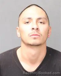 Mugshot of Brian Gabriel Olson