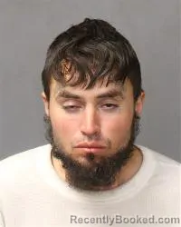Mugshot of Patrick J Molina-Raya