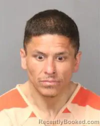 Mugshot of Domenique Dean Sedillo