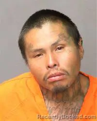 Mugshot of Anthony Dale
