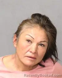 Mugshot of Teri Lynn Tallman