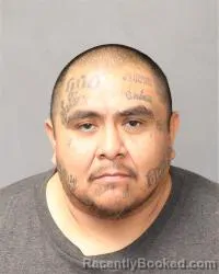 Booking photo from Bernalillo County, New Mexico