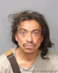 Mugshot of Michael S Farley