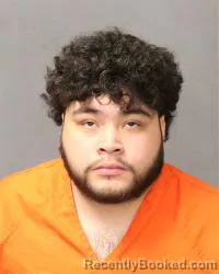 Mugshot of Luis Esteban Saez Soto