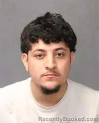 Mugshot of Diego Nicholas Briceno