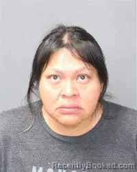 Mugshot of Jerilyn John