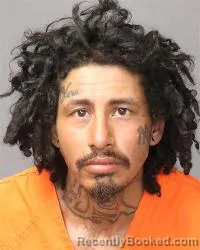 Booking photo from Bernalillo County, New Mexico