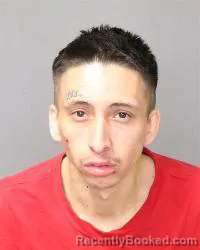 Booking photo from Bernalillo County, New Mexico