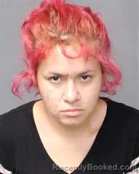 Mugshot of Fabiola N Archuleta