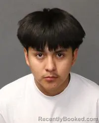 Mugshot of Teshaun James Lonasee