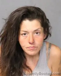 Mugshot of Elisabeth Guierillma Valdez