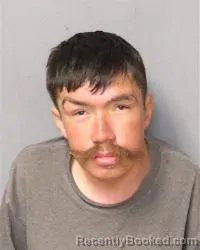 Mugshot of Steven Sims