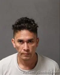 Mugshot of Wayne Farrell