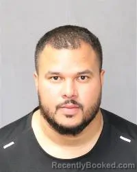 Mugshot of Luis Fernando Alvarado Osorio