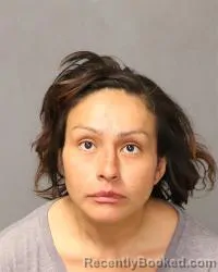 Mugshot of Brianna Orantes