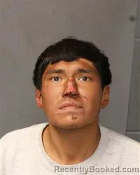 Mugshot of Anthony Aaron Joseph Ray