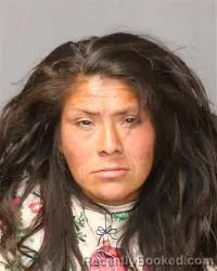 Mugshot of Elizabeth San Juan booked in Bernalillo County, New Mexico on March 6, 2026