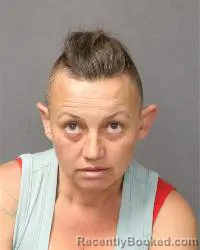 Mugshot of Mindi Renee Hudson booked in Bernalillo County, New Mexico on March 7, 2026