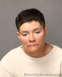 Mugshot of Ashley Nicole Hightower booked in Bernalillo County, New Mexico on March 7, 2026