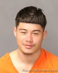 Mugshot of Dalvino Joseph Majewski booked in Bernalillo County, New Mexico on March 9, 2026