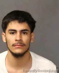 Booking photo from Bernalillo County, New Mexico