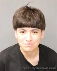 Mugshot of Estrella Rodriguez booked in Bernalillo County, New Mexico on March 12, 2026