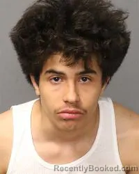 Mugshot of Joel Leo booked in Bernalillo County, New Mexico on March 12, 2026