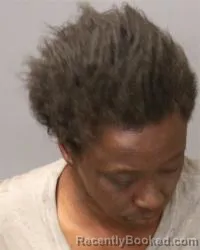 Mugshot of Krishell Nikki Jaramillo booked in Bernalillo County, New Mexico on March 13, 2026