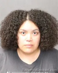 Mugshot of Melissa Nicole Lopez