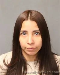 Mugshot of Jocelyn Navarro