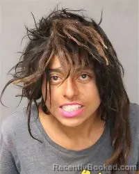 Mugshot of Jailene E Delgado-Sarceno booked in Bernalillo County, New Mexico on March 14, 2026