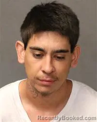 Mugshot of Terrance Harris booked in Bernalillo County, New Mexico on March 15, 2026