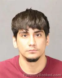 Mugshot of Ismael Moises Ramirez