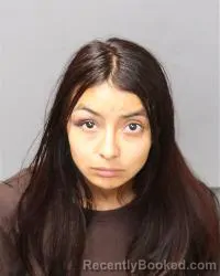 Mugshot of Alma Sofia Fausto-Garcia booked in Bernalillo County, New Mexico on March 17, 2026